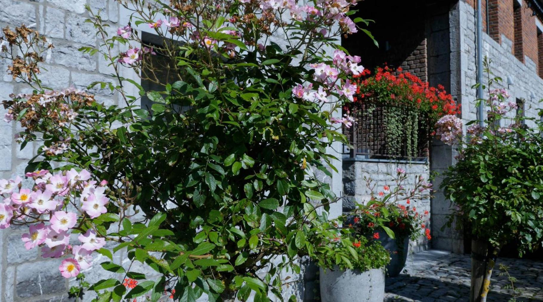 Gites Ferme De La Barriere Chimay Exteriér fotografie